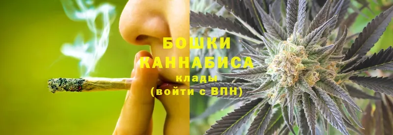 Бошки марихуана THC 21%  где купить наркотик  Белый 